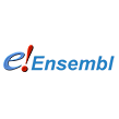 ensemble_logo