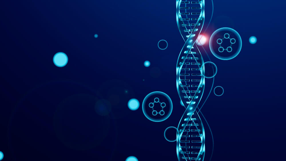 What Is an NGS Analysis Pipeline and How to Build One